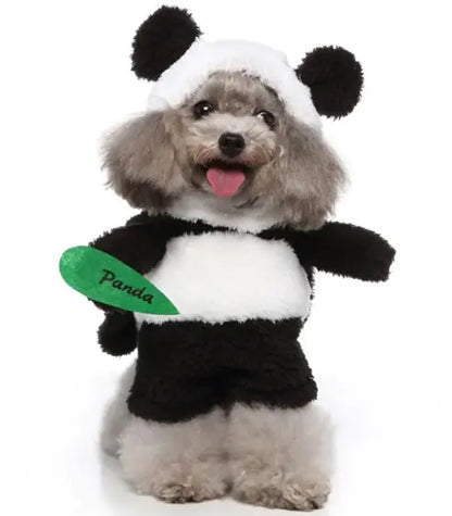 Stylish & Comfortable Pet Clothing