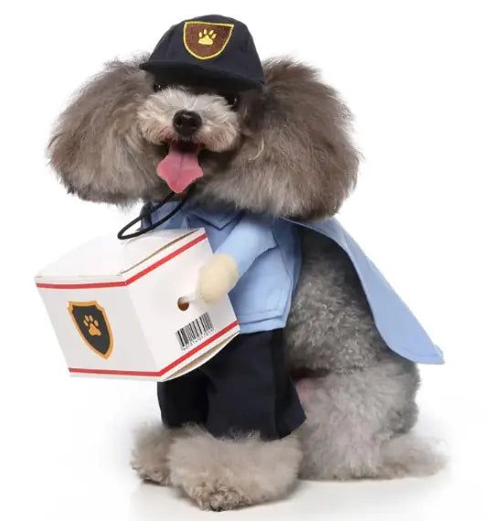 Stylish & Comfortable Pet Clothing