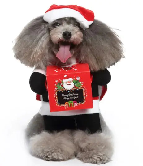 Stylish & Comfortable Pet Clothing