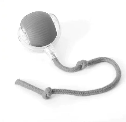 Self-Playing Rolling Pets Ball