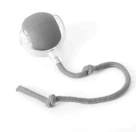 Self-Playing Rolling Pets Ball