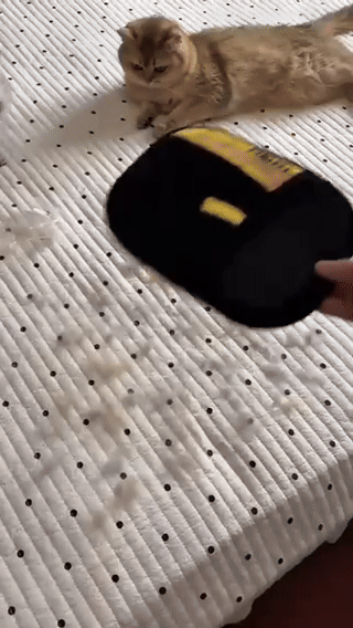 FurAway Glove