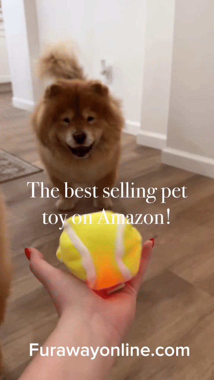 Automatic Plush Ball Pet Toy