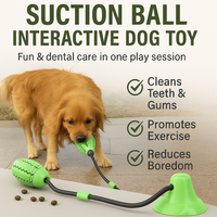 Suction Ball Interactive Dog Toy